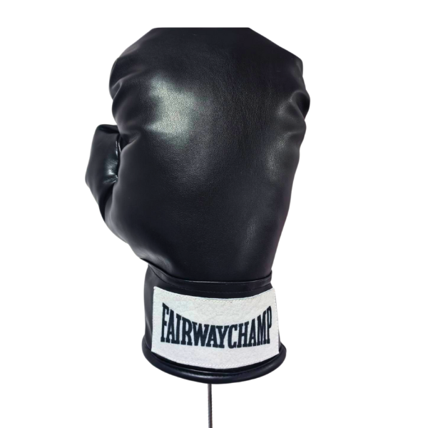 Boxhanschuh 10-Z0030_1