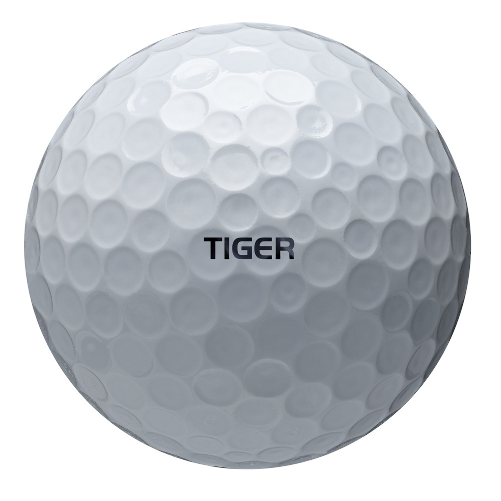 Tiger Woods TourB-X S07-B2406