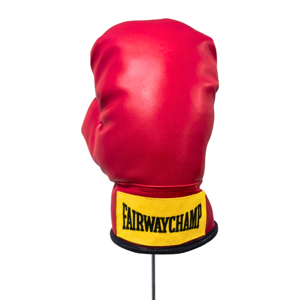 Boxhanschuh 10-Z0030_2